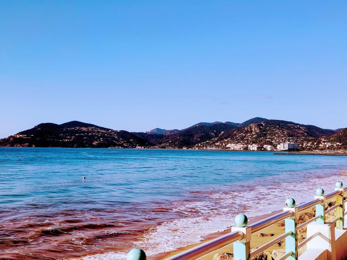 Appartement Bord De Mer, Midi, Acces Direct A La *